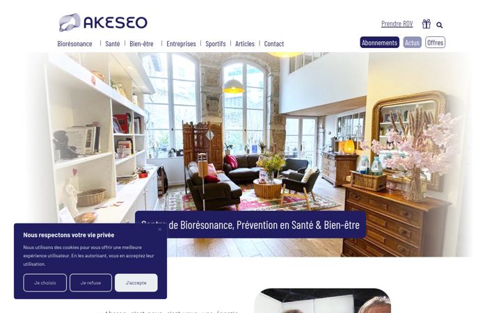 Skærmbillede af akeseo.com