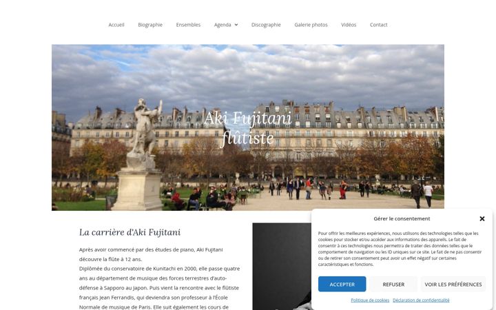 Zrzut ekranu aki-fujitani.com