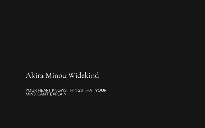 Screenshot of akira-minou-widekind.de