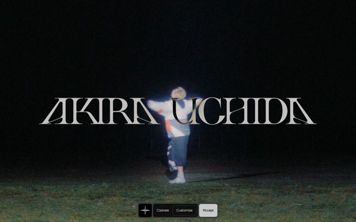 Screenshot von akirauchida.com