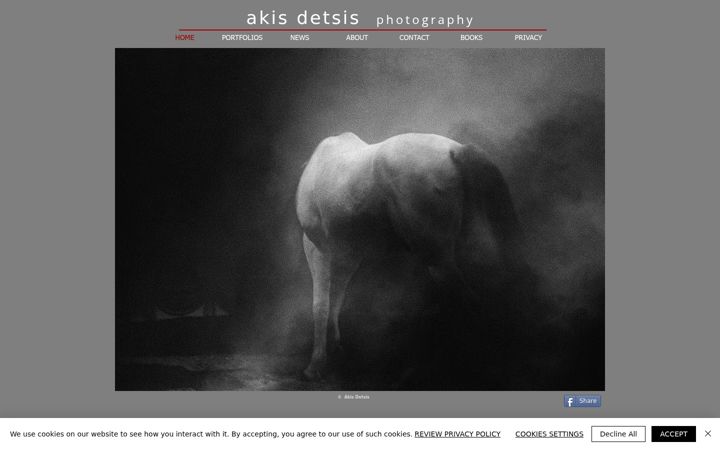 Screenshot of akisdetsis.com