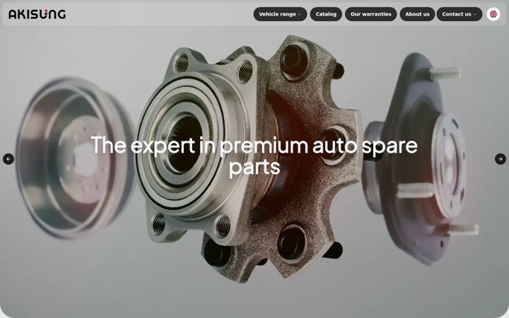 Screenshot of akisung.com