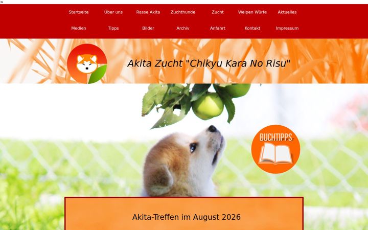 Screenshot of akita-inu-welpen.de