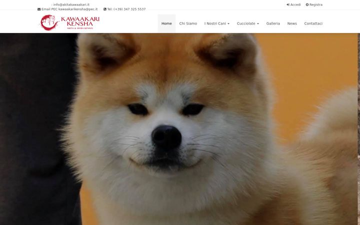 Screenshot of akitakawaakari.it