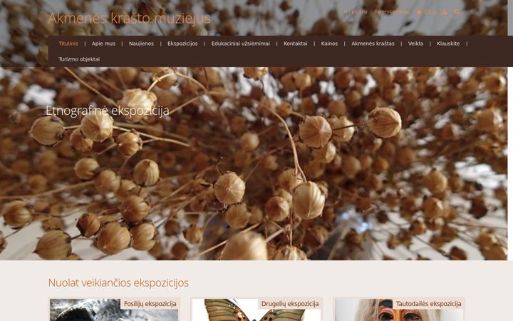Screenshot of akmenesmuziejus.lt