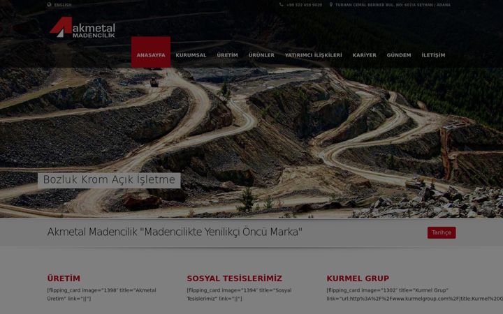 Screenshot of akmetalmadencilik.com