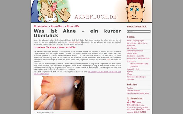 Screenshot of aknefluch.de