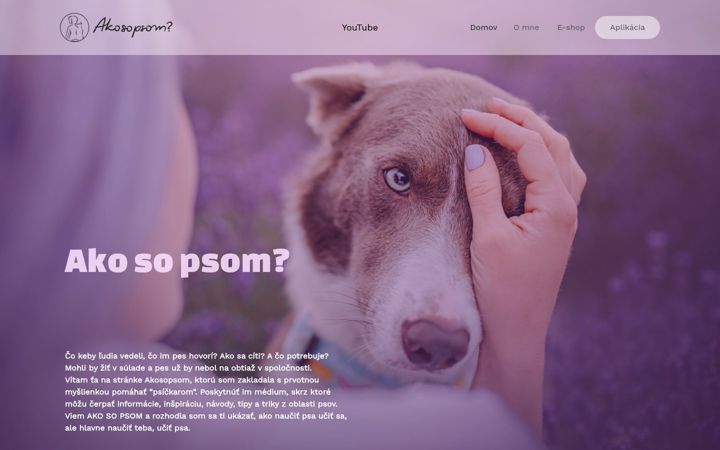 Screenshot of akosopsom.sk