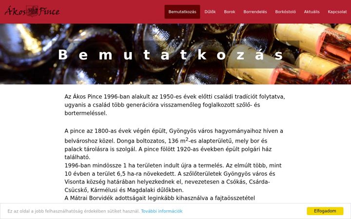 Screenshot of akospince.hu