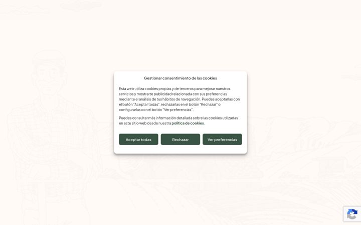Screenshot of akotaservicios.es