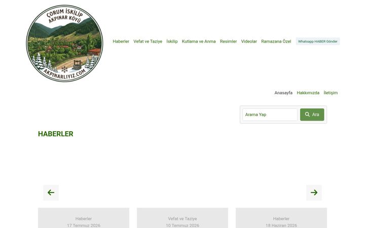 Screenshot of akpinarliyiz.com