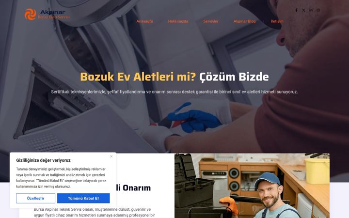 Screenshot of akpinarteknikservis.com