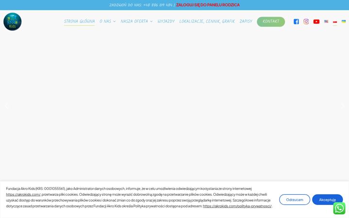 Captura de ecrã de akrokids.com