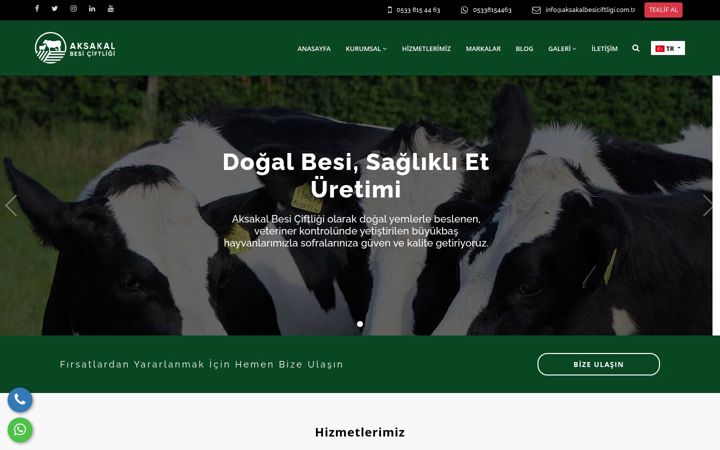 Screenshot of aksakalbesiciftligi.com.tr