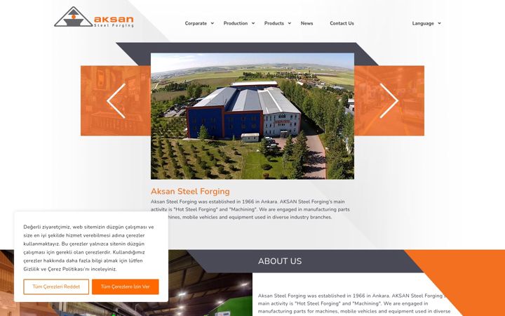 Screenshot of aksanforging.com