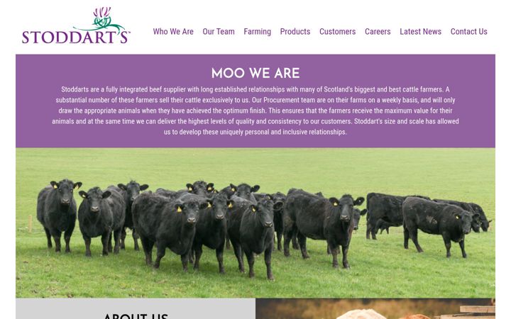 Screenshot of akstoddart.co.uk