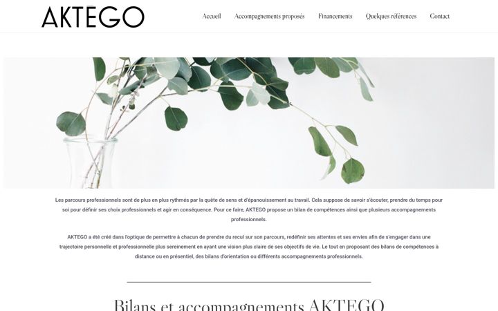 Screenshot of aktego.fr