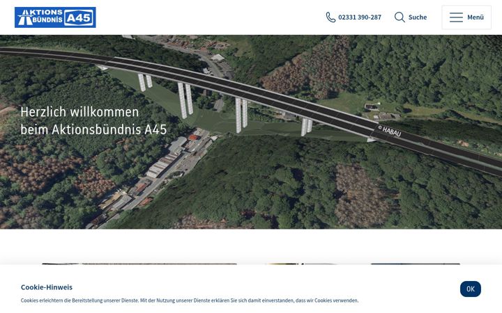 Captură de ecran a aktionsbuendnis-a45.de