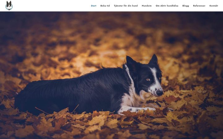 Screenshot of aktivhundhalsa.se