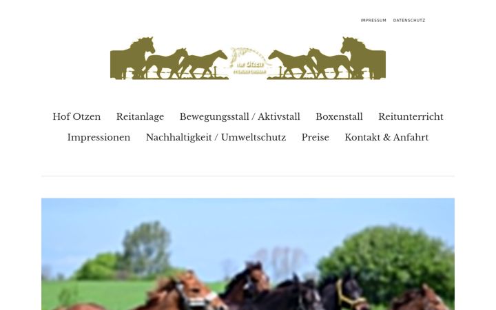 Screenshot di aktivstall-gintoft.de