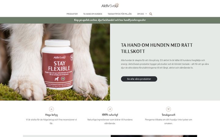 Screenshot of aktivsveapet.com