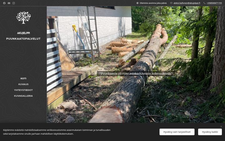 Screenshot of akujelppi.fi