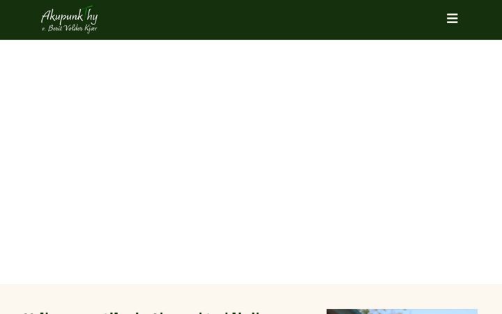Screenshot of akupunkthy.dk