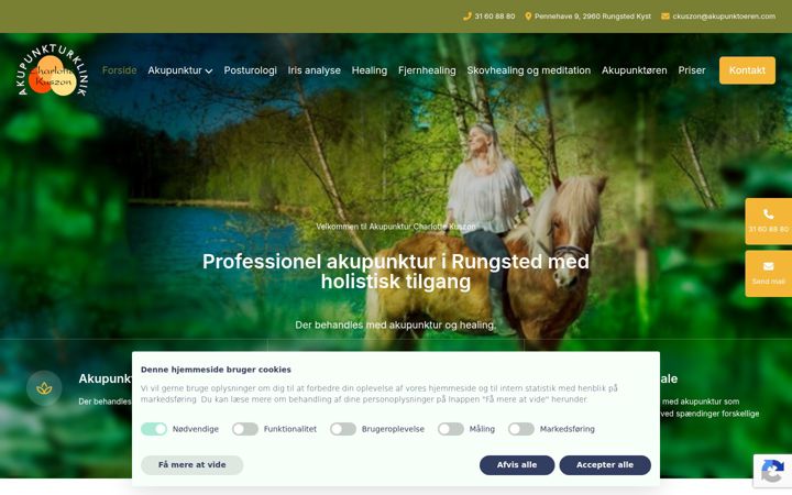 Screenshot of akupunktoeren.com