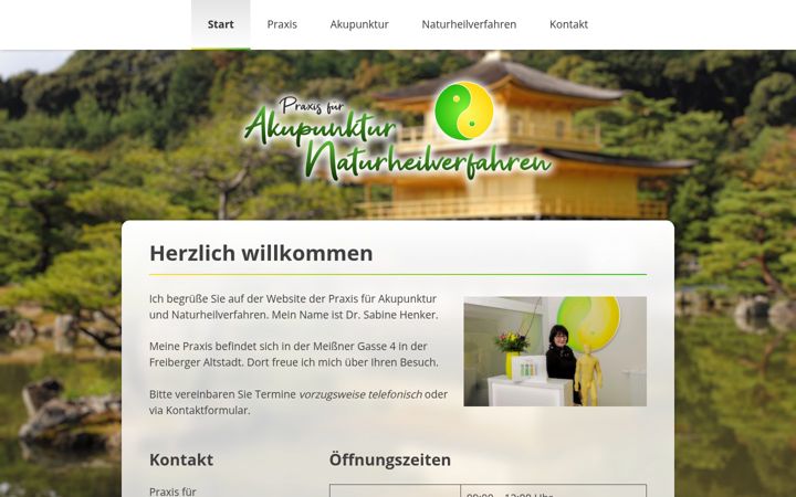 Screenshot of akupunktur-freiberg.de