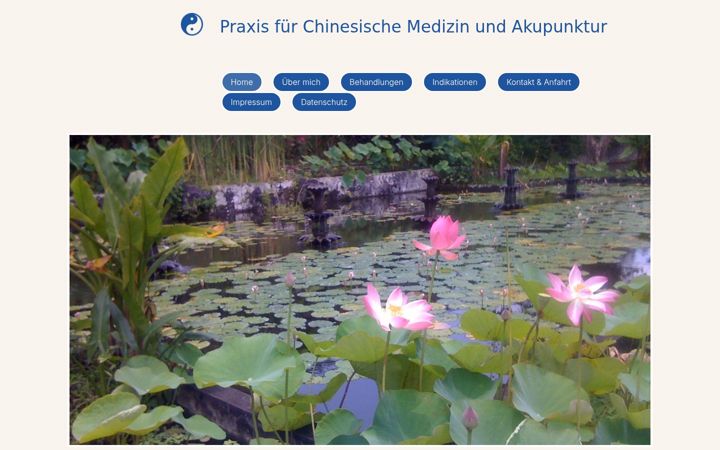 Screenshot of akupunktur-zofingen.ch