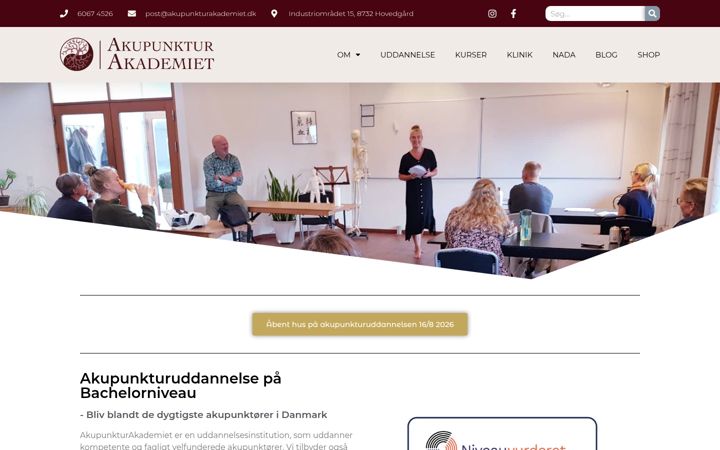Screenshot ta' akupunkturakademiet.dk