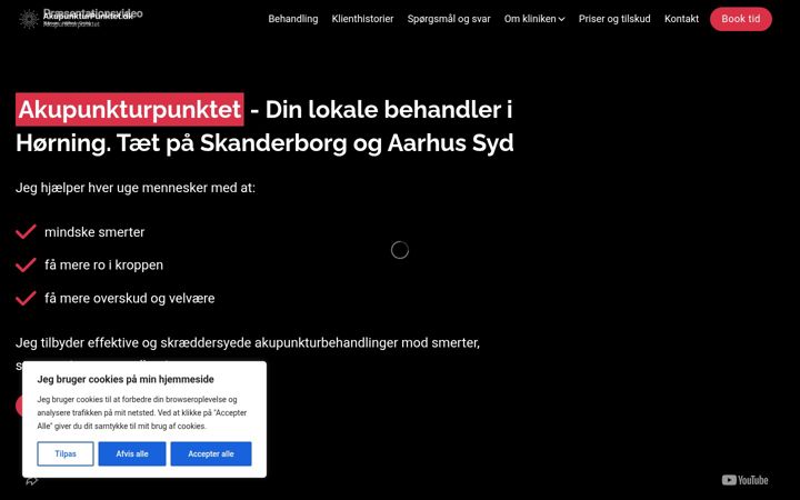 Screenshot of akupunkturpunktet.dk