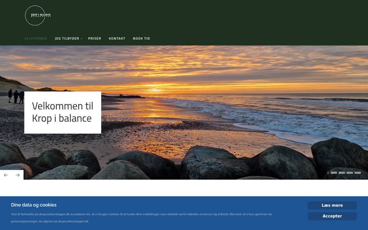 Screenshot of akupunkturskagen.dk