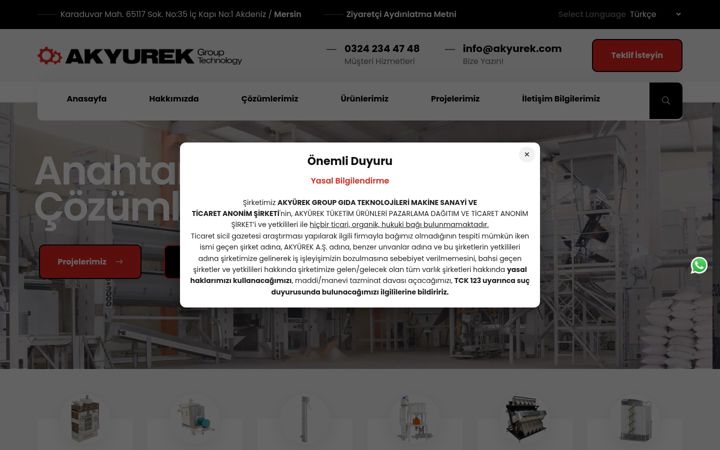 Screenshot of akyurek.com