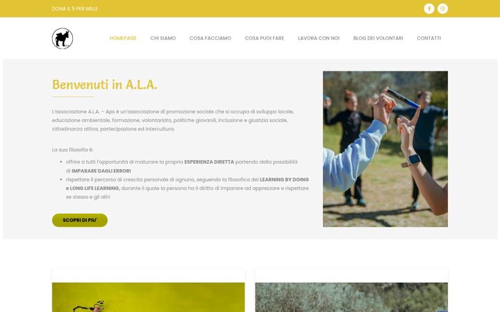 Screenshot of ala-aps.com