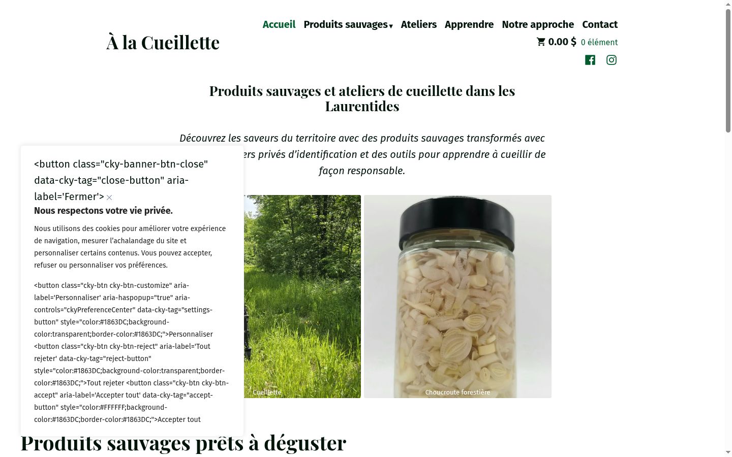 Screenshot del banner di consenso mostrato prima di qualsiasi interazione