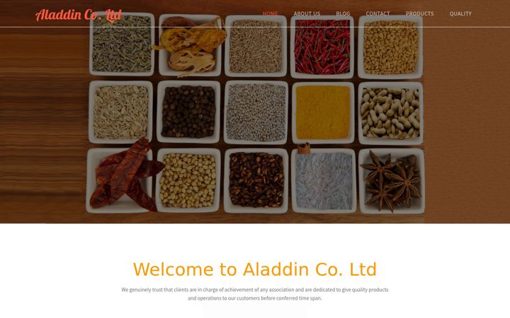 Screenshot of aladdin.co.tz
