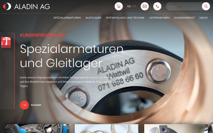 Screenshot von aladinag.ch