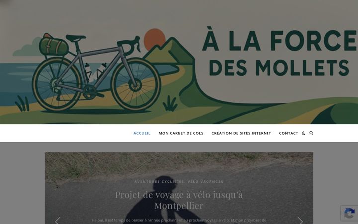 Screenshot von alaforcedesmollets.com