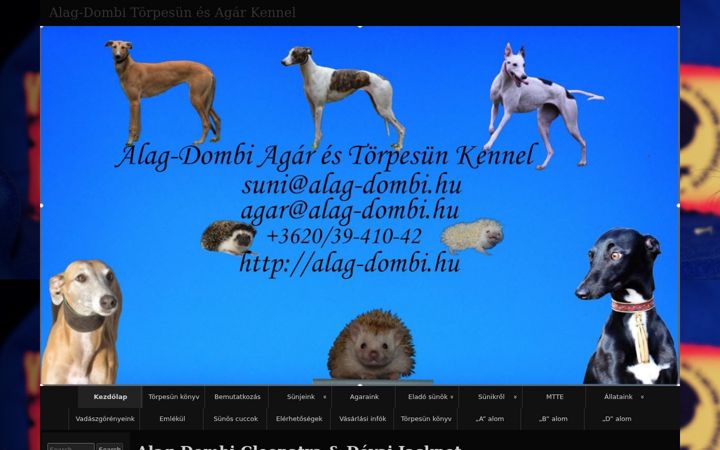 Skjermbilde av alag-dombi.hu