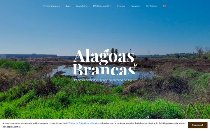 Screenshot of alagoasbrancas.org