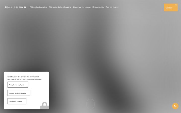 Screenshot of alainankri.fr