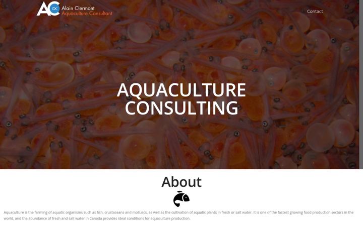 Screenshot of alainclermont.com