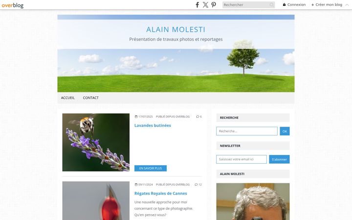 Screenshot of alainmolesti.com