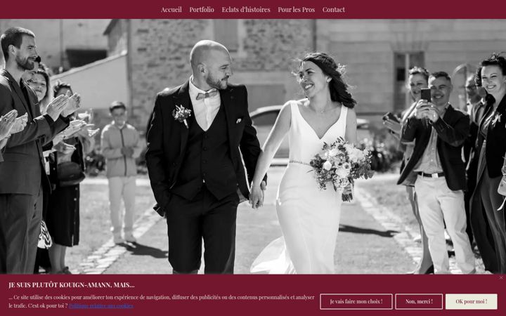 Screenshot of alainraguenes.fr