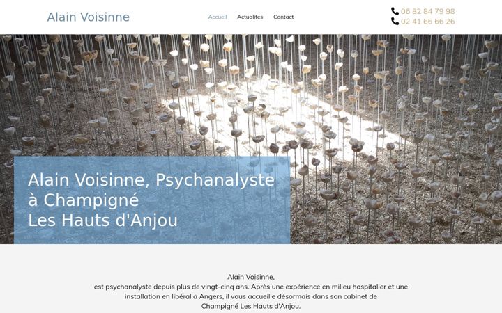 Screenshot von alainvoisinne.fr
