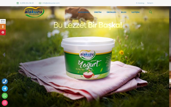 Screenshot von alakuzular.com