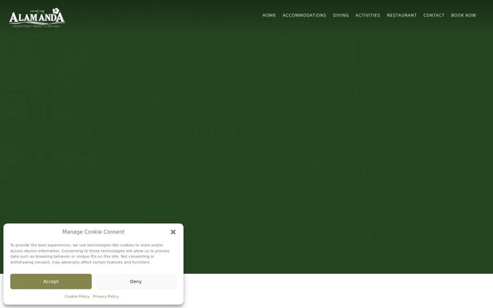 Screenshot of alam-anda.com