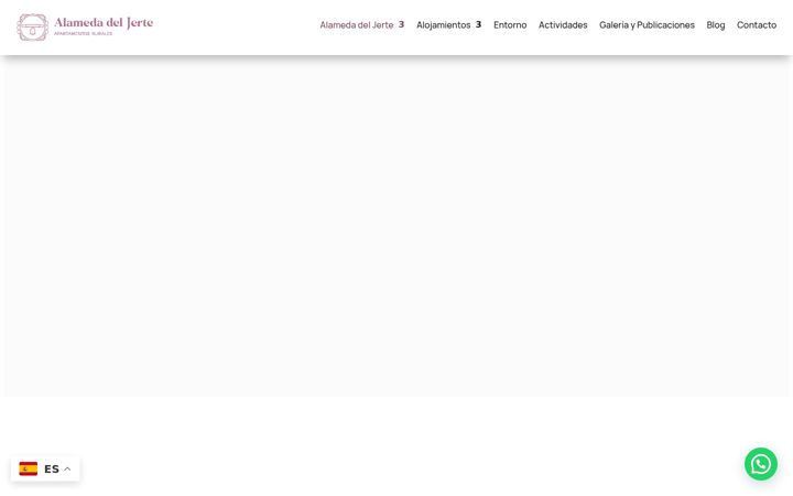 Screenshot of alamedadeljerte.es