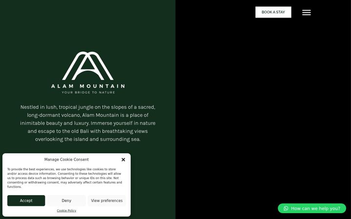 Screenshot of alammountain.com